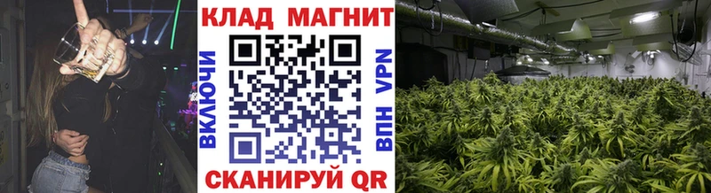 Где купить наркоту Волгореченск МАРИХУАНА ссылка на мегу ONION Меф