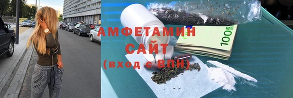 крисы Богородицк
