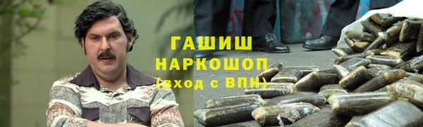 крисы Богородицк