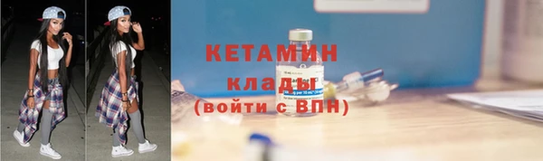 крисы Богородицк
