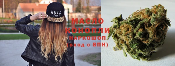 крисы Богородицк