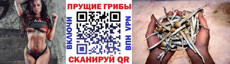 Галлюциногенные грибы мицелий  купить   Волгореченск 